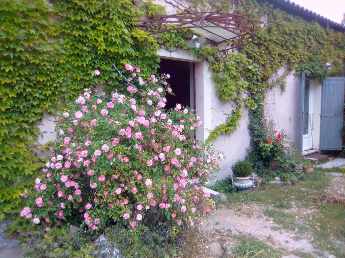 Le Domaine De Belle Bed & Breakfast L'Isle-sur-la-Sorgue Luaran gambar