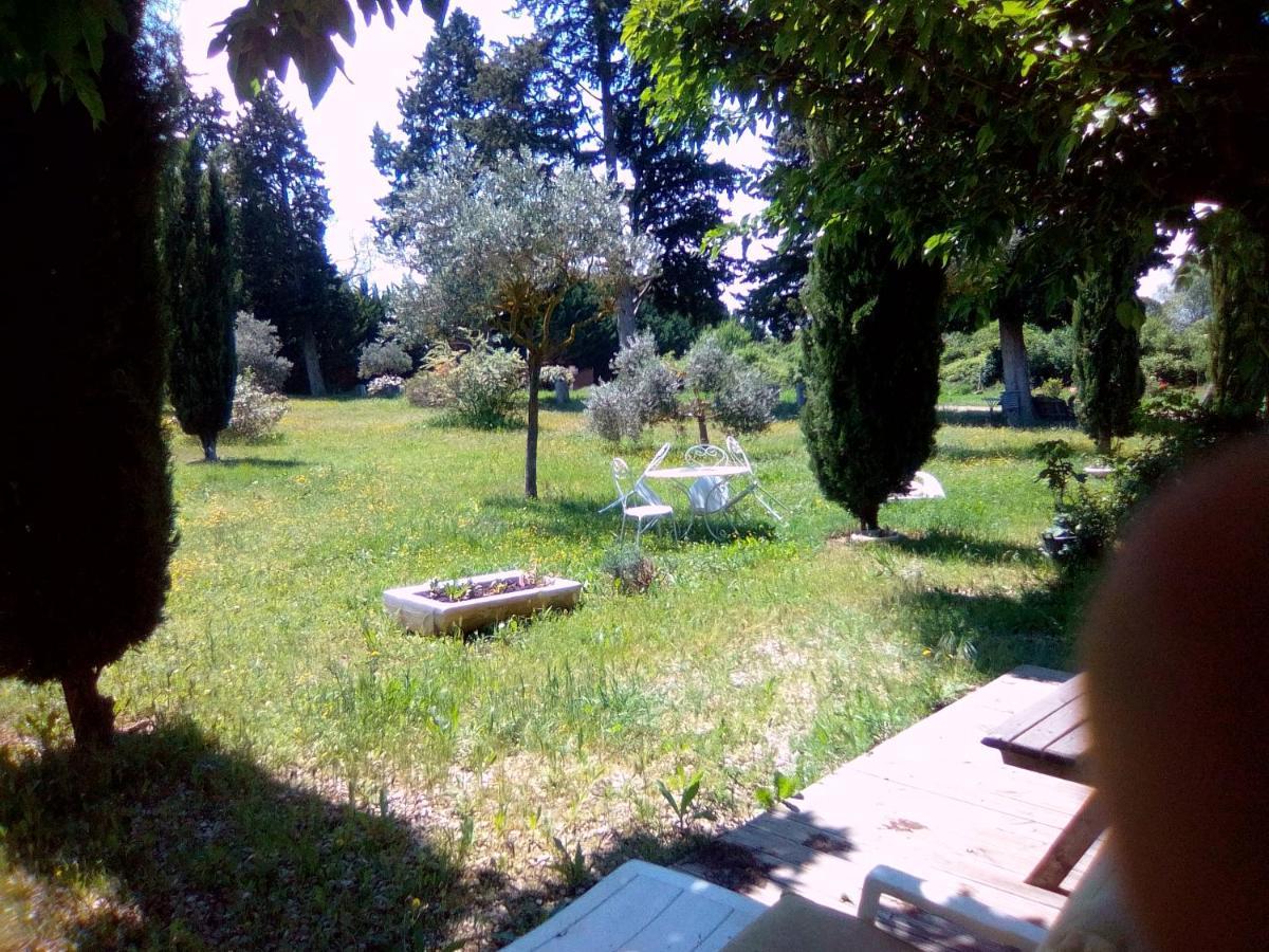 Le Domaine De Belle Bed & Breakfast L'Isle-sur-la-Sorgue Luaran gambar